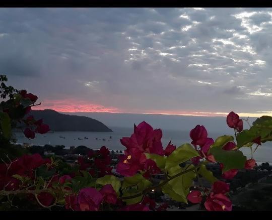 Maremonti Vacation Rental Puerto López Kültér fotó